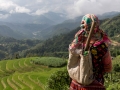 Dao lady looking at the rice terraces