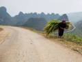 Ha Giang - Ha Giang province roads