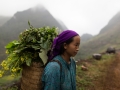 Ha Giang - Young Hmong woman posing for the photo