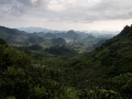 Ha Giang jungle