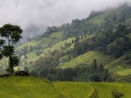 Hoang Su Phi rice terraced