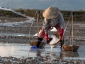 Nha Trang saltmarsh